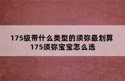 175级带什么类型的须弥最划算 175须弥宝宝怎么选